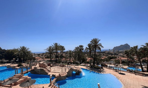 Apartamento / piso - Obra nueva - Calpe -
                Calpe