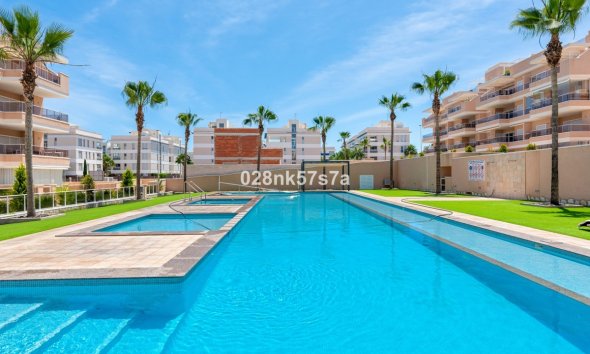 Apartment - Penthouse - Revente - Orihuela -
                Los Dolses