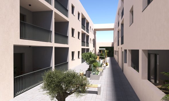 Appartement - Nouvelle construction - San Miguel de Salinas -
                San Miguel de Salinas