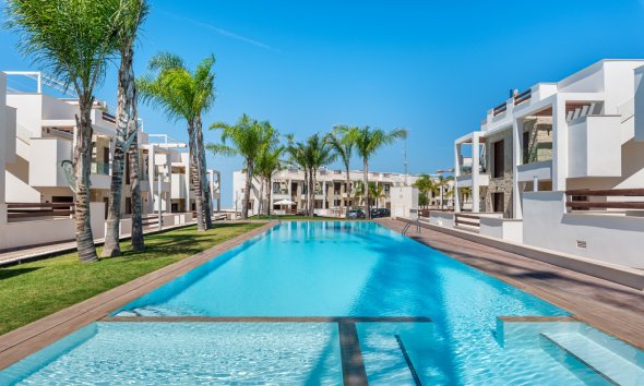 Bungalow - Obra nueva - Torrevieja -
                Torrevieja