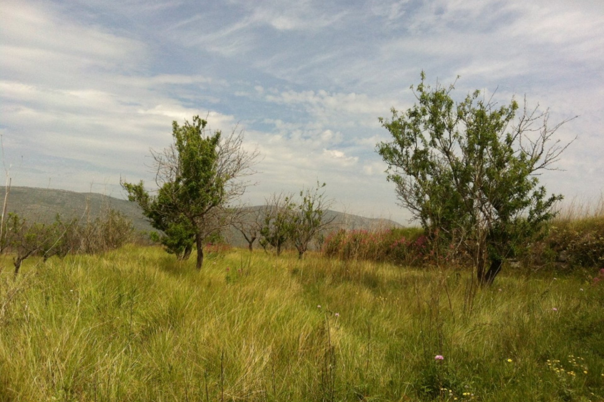Herverkoop - Plot - Land - Benissa - Benissa Centro