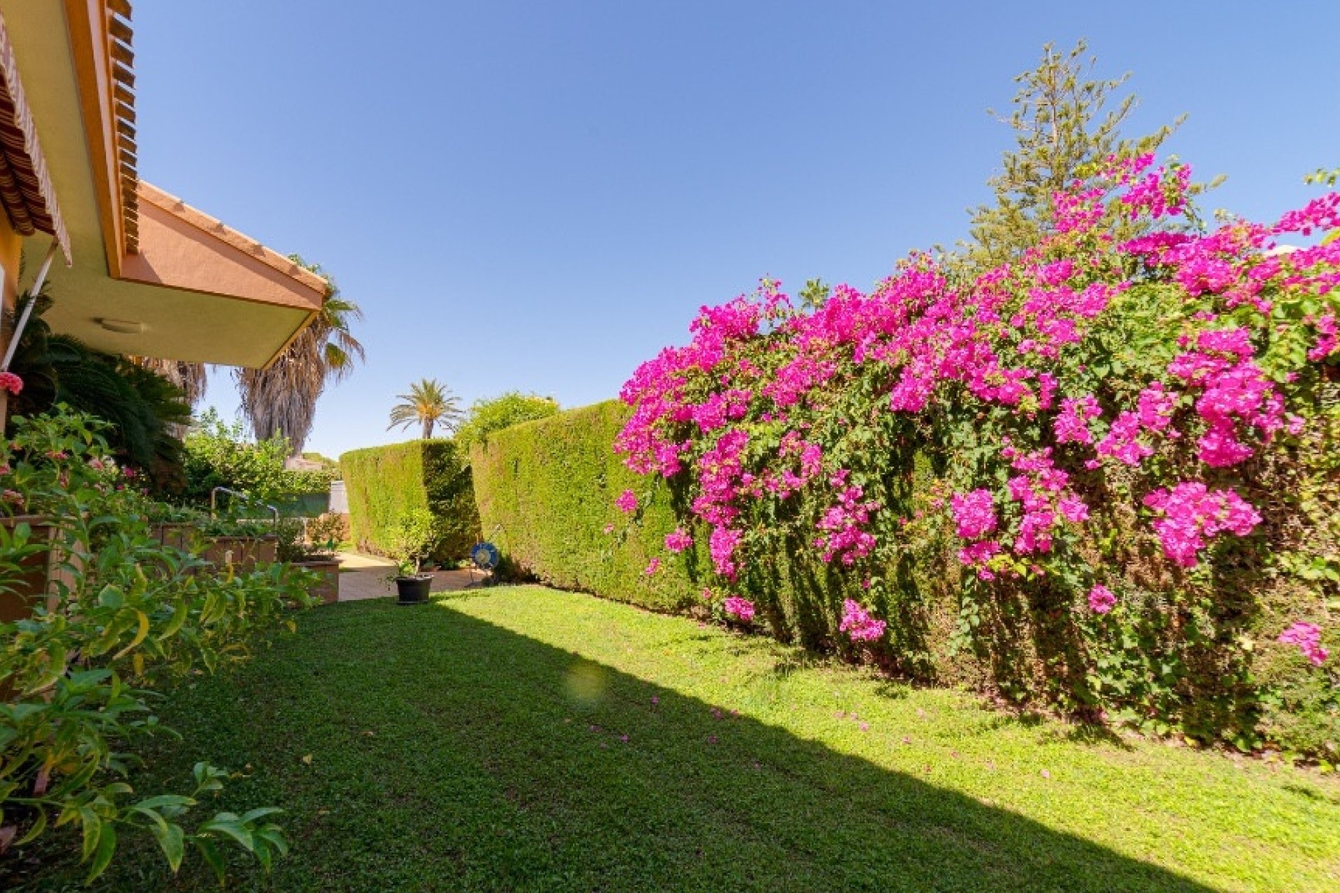 Herverkoop - House - Detached Villa - Orihuela - Campoamor