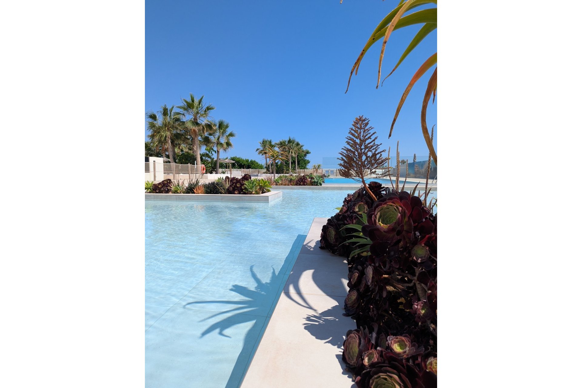 New Build - Penthouse - Denia - Dénia