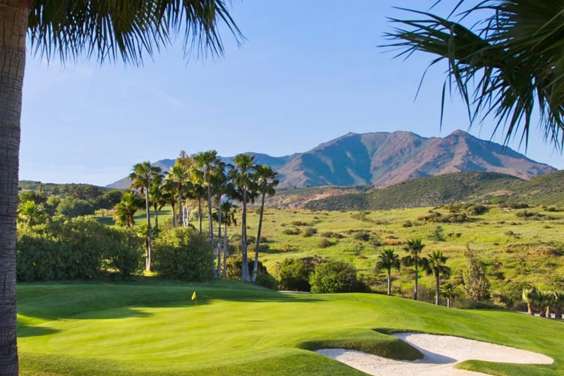 Nouvelle construction - Villa - Estepona