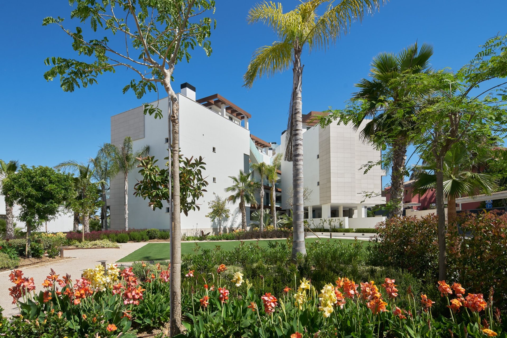 Obra nueva - Apartamento / piso - Estepona