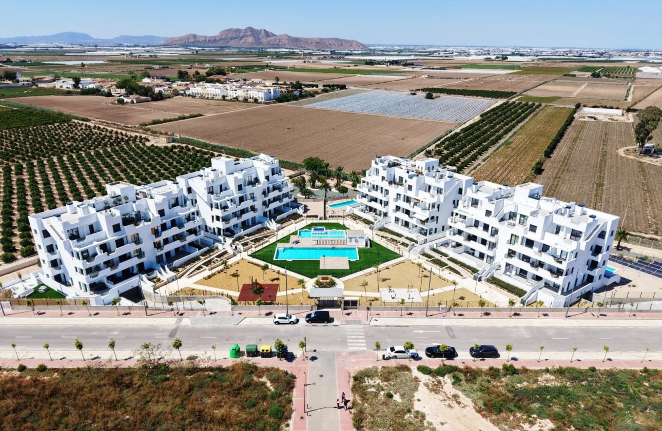 Obra nueva - Apartamento / piso - Santa Rosalía