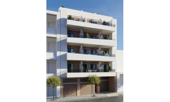 Penthouse - Nieuwbouw Woningen - Torrevieja -
                Torrevieja