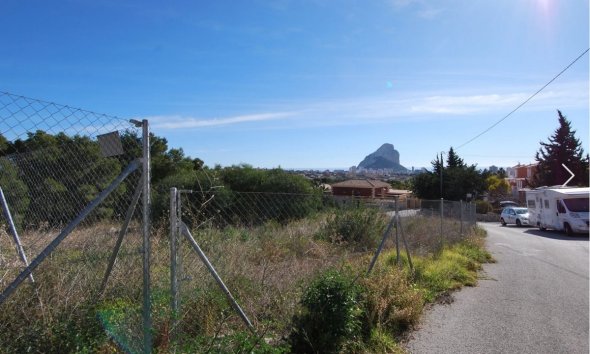 Plot - Land - Herverkoop - Calpe -
                Calpe Centro