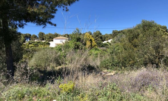 Plot - Land - Reventa - Jávea -
                Jávea - Xàbia Centro