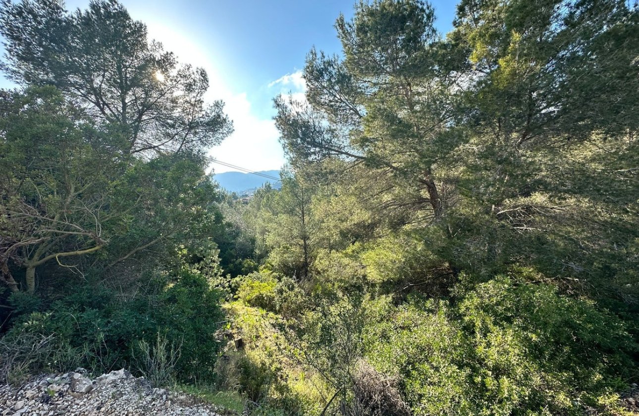 Resale - Plot - Land - Calpe - Calpe Centro