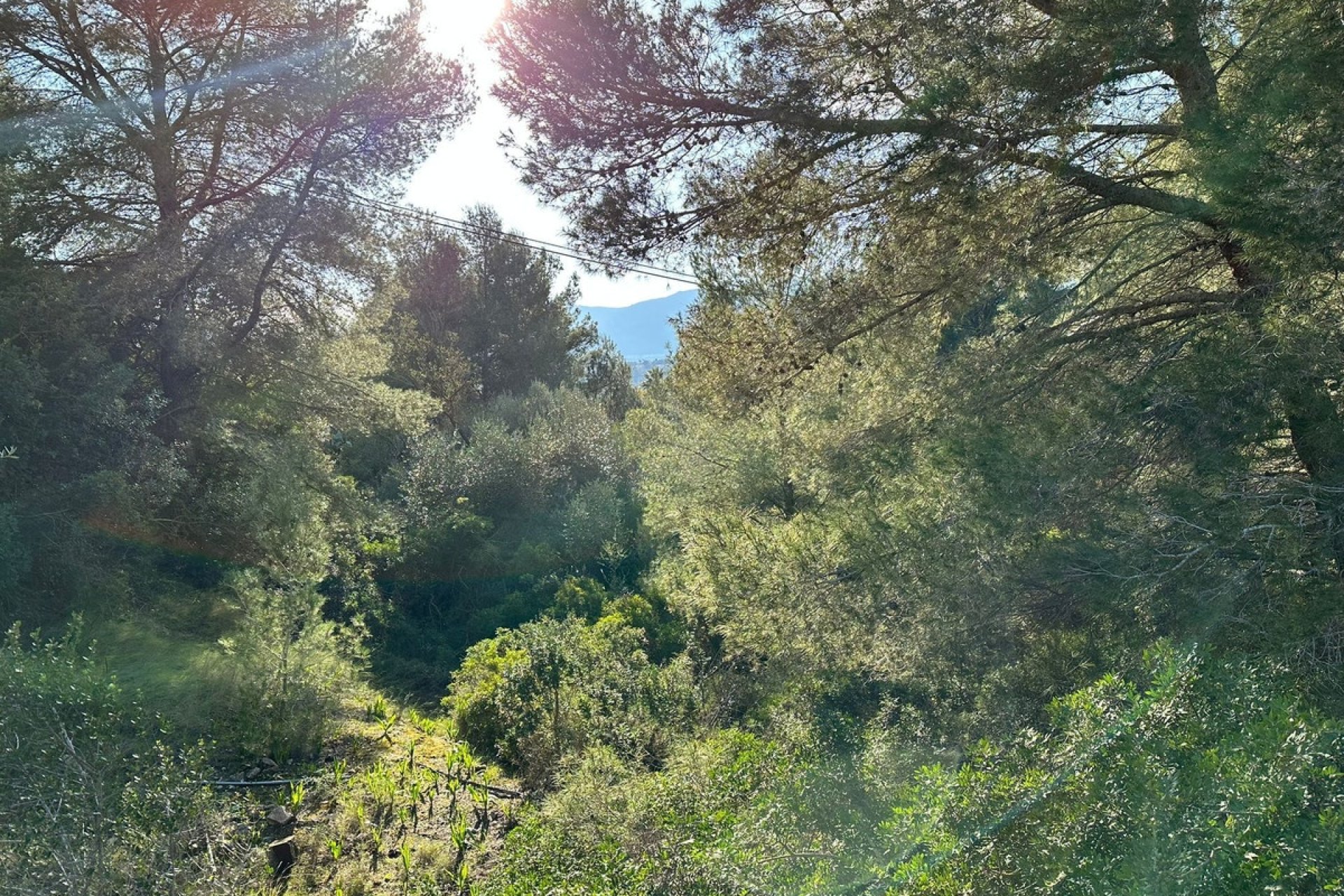 Resale - Plot - Land - Calpe - Calpe Centro