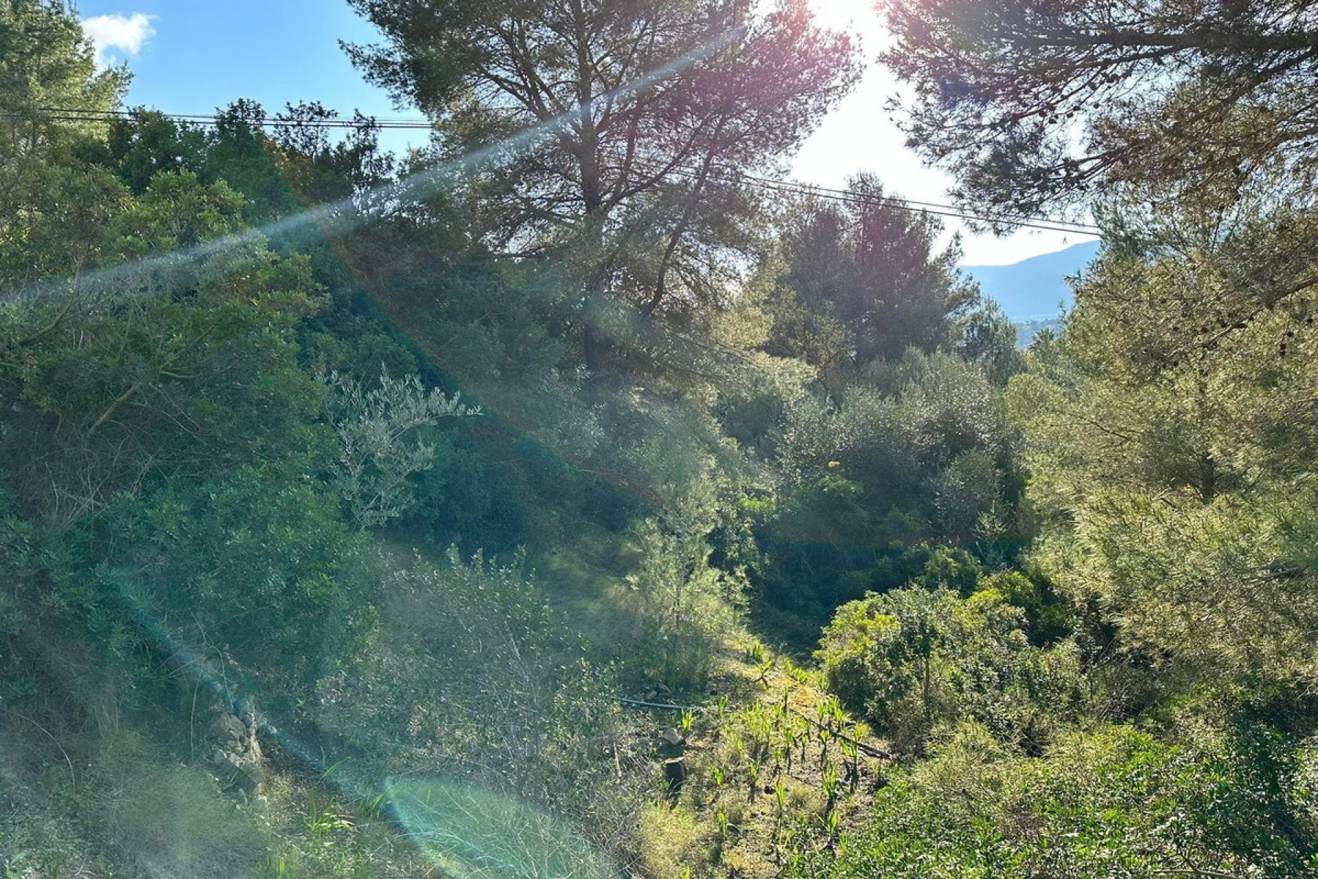 Resale - Plot - Land - Calpe - Calpe Centro