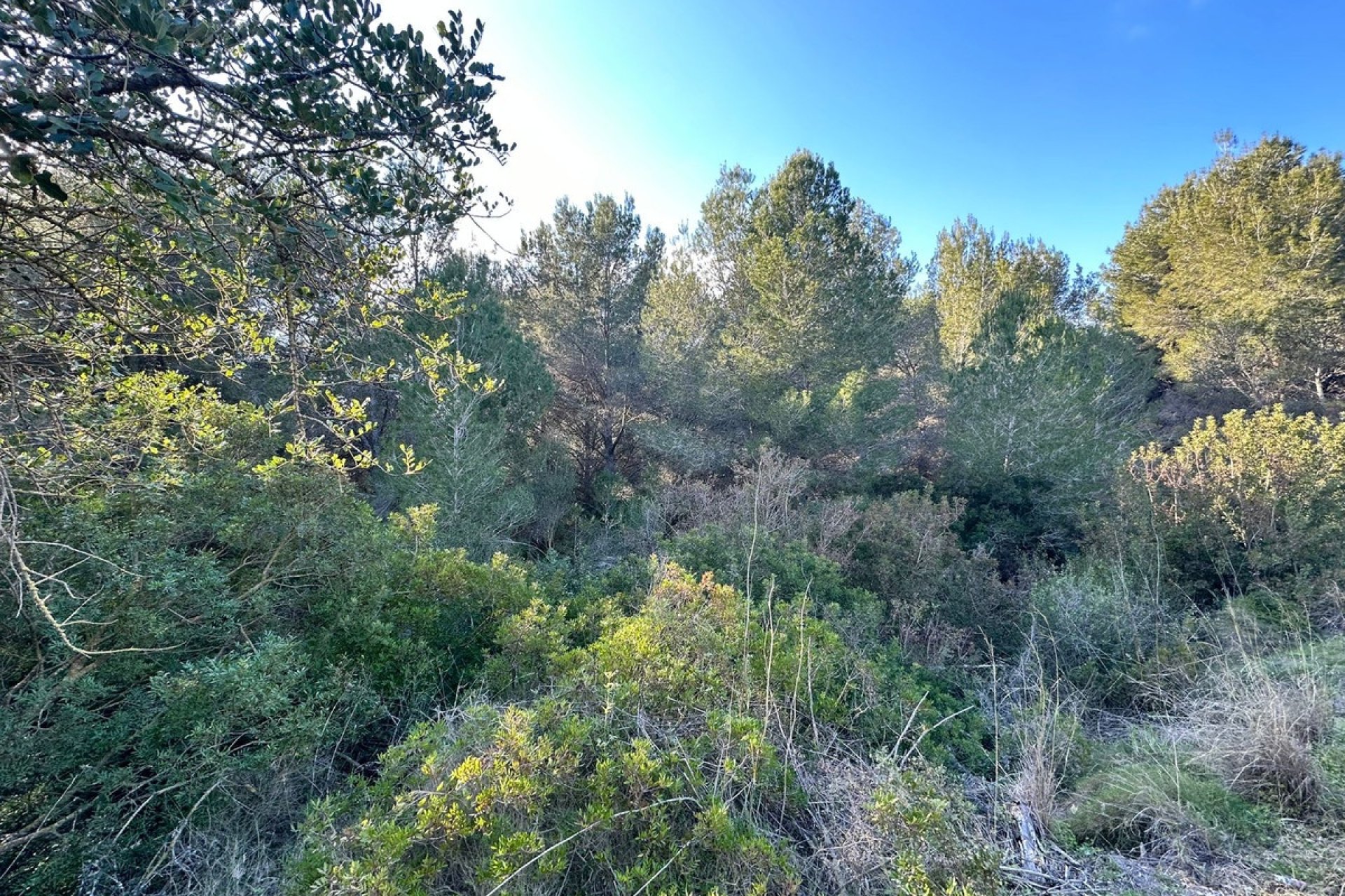 Resale - Plot - Land - Calpe - Calpe Centro