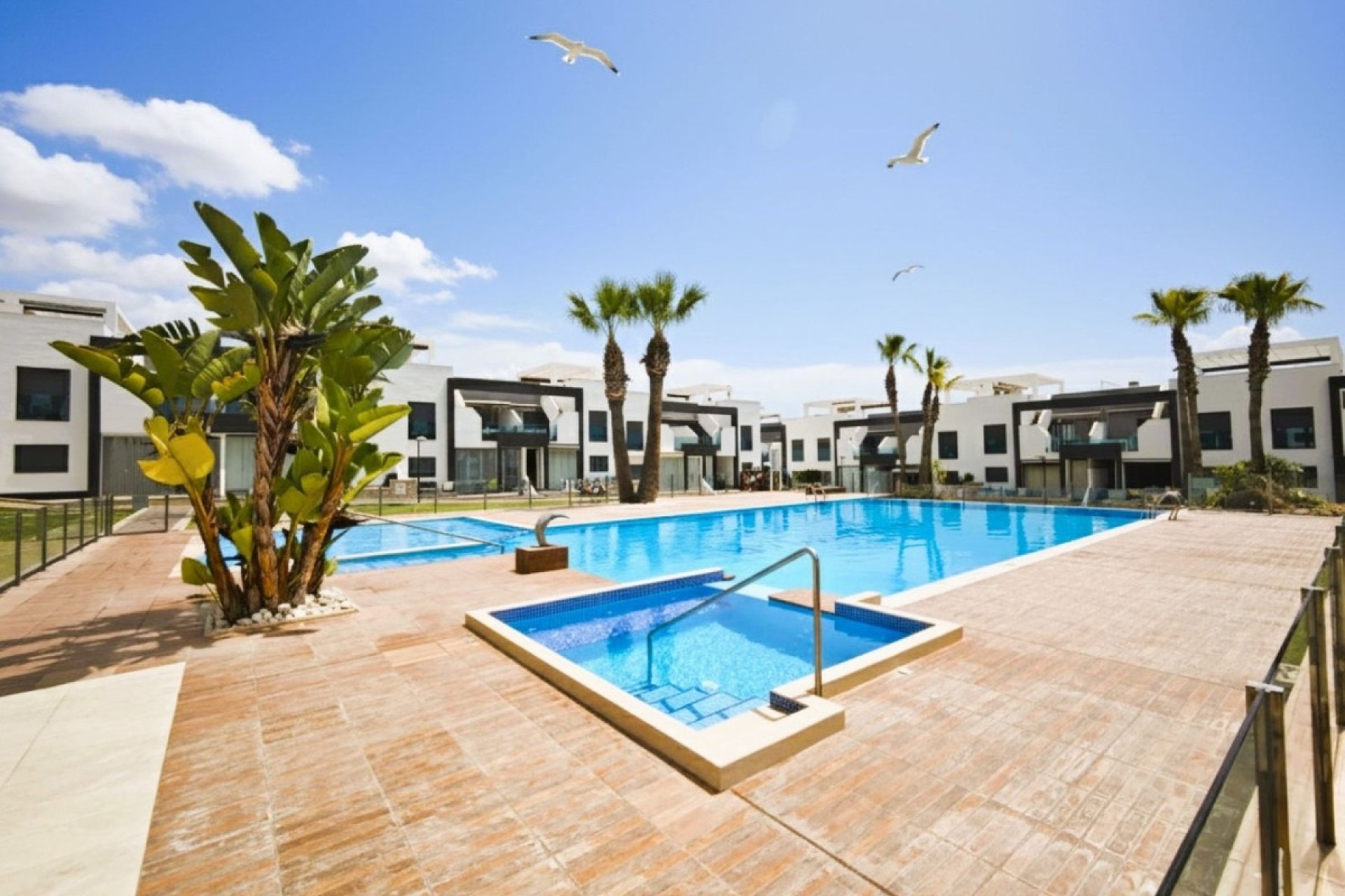 Resale - Apartment - Ground Floor Apartment - Orihuela - La Zenia