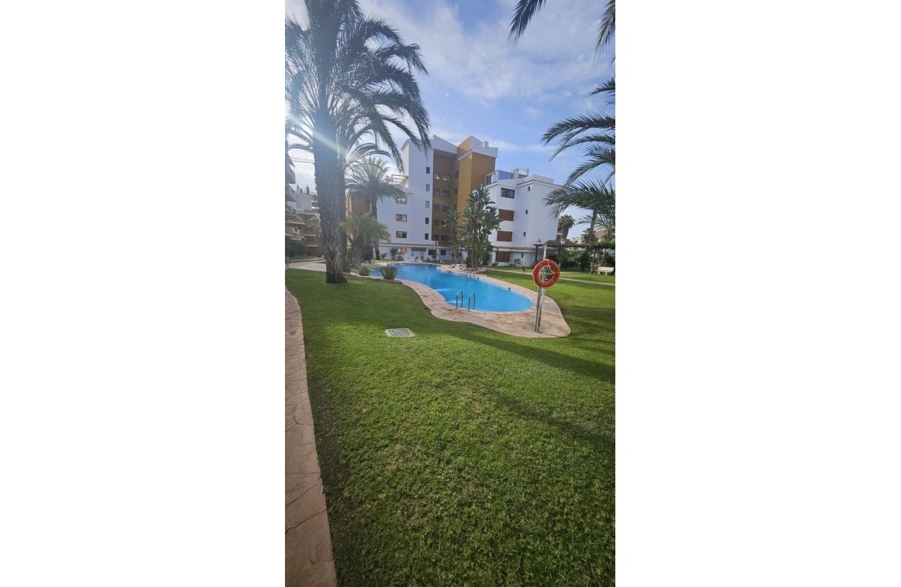 Resale - Apartment - Ground Floor Apartment - Orihuela - Punta Prima