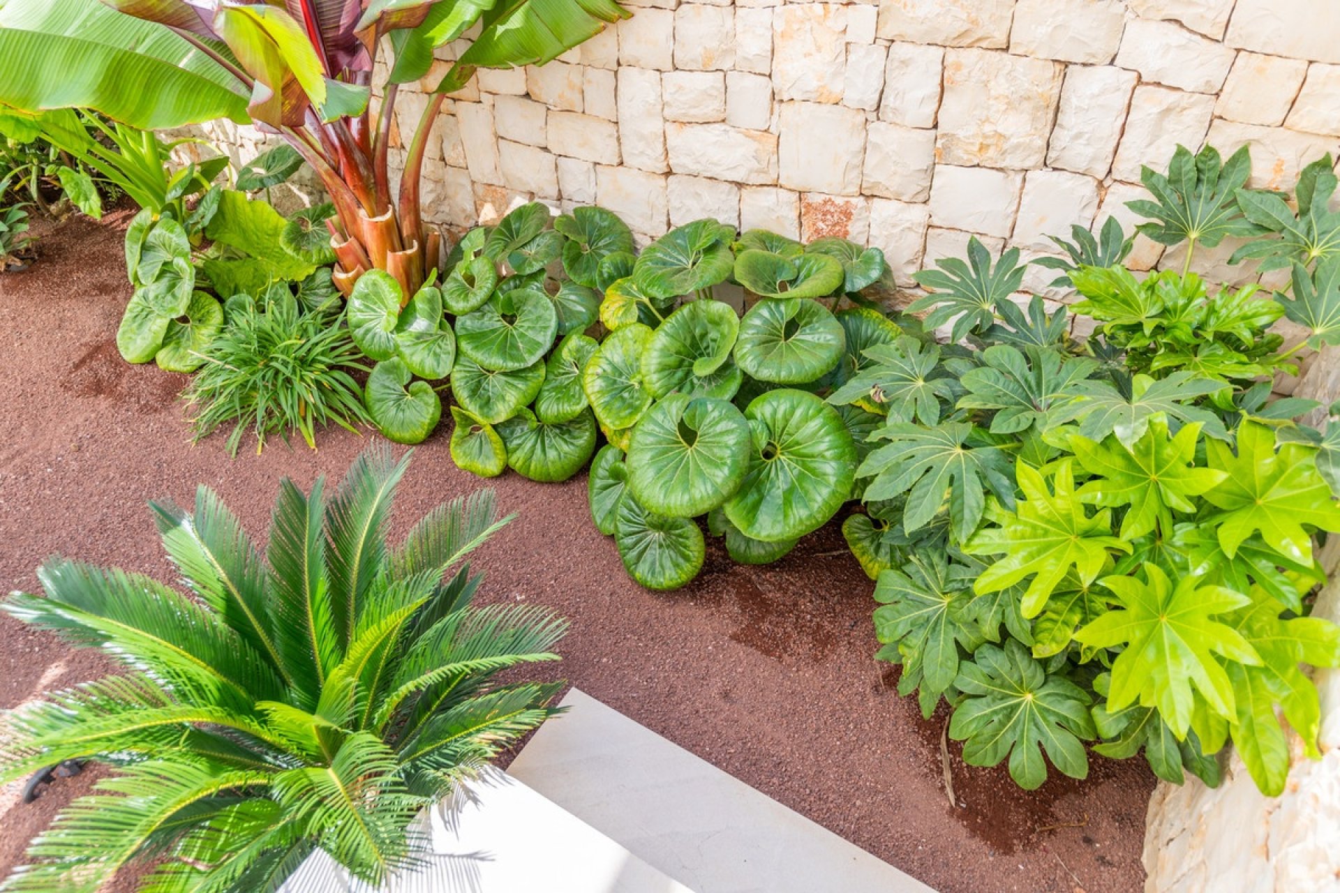 Resale - House - Detached Villa - Jávea - Xàbia - Jávea - Xàbia Centro