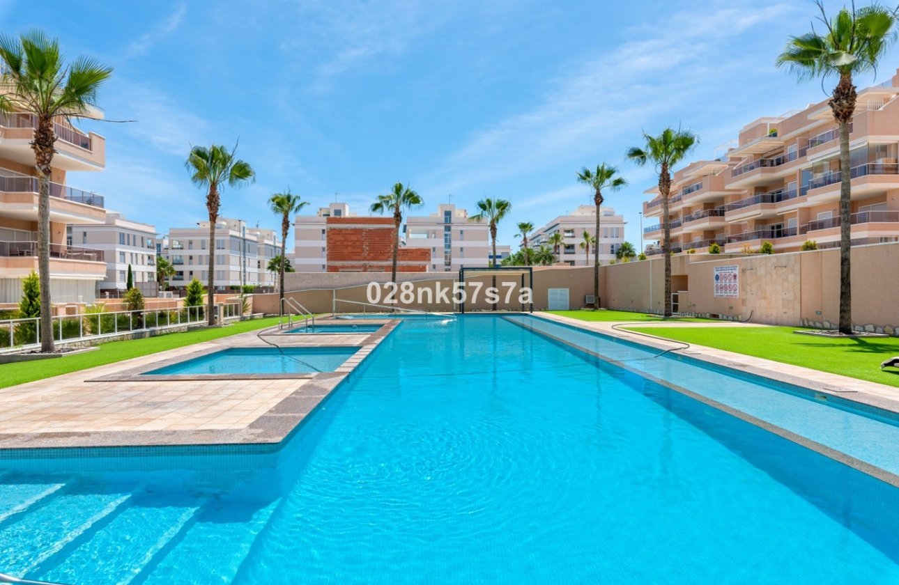 Revente - Apartment - Penthouse - Orihuela - Los Dolses