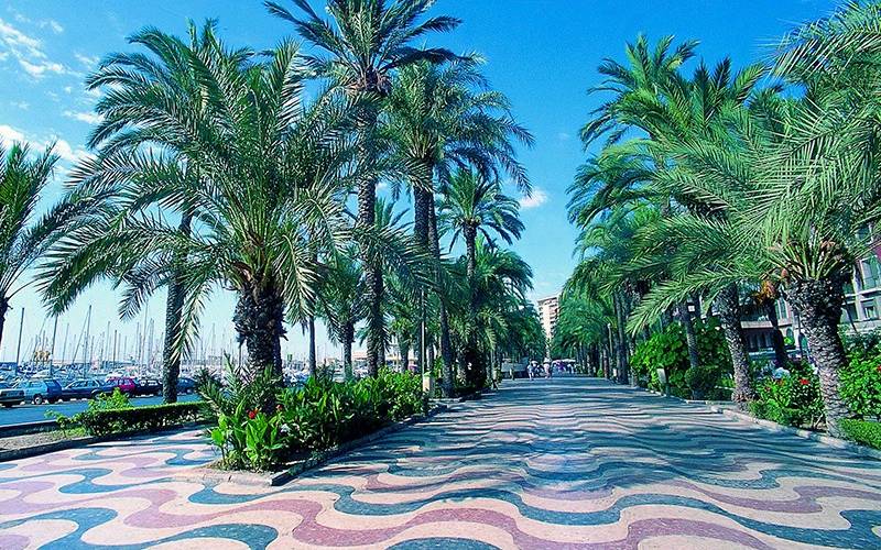 Alicante