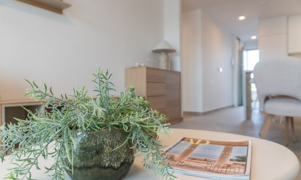 Obra nueva - Apartamento / piso - Playa Flamenca
