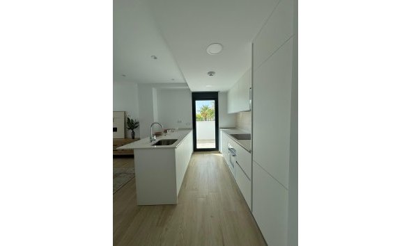 Nouvelle construction - Appartement - Santa Rosalía