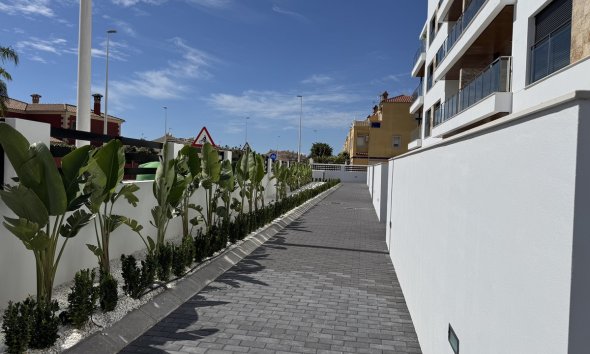 Herverkoop - Apartment - Penthouse - Orihuela - Playa Flamenca