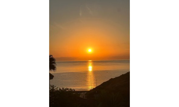 Resale - House - Detached Villa - Orihuela - Campoamor