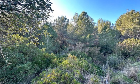 Reventa - Plot - Land - Calpe - Calpe Centro