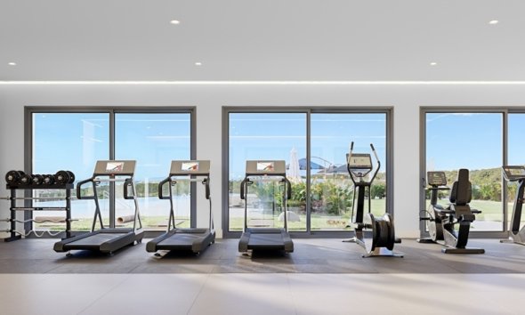 Nouvelle construction - Attique - Casares