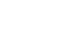 API-logo