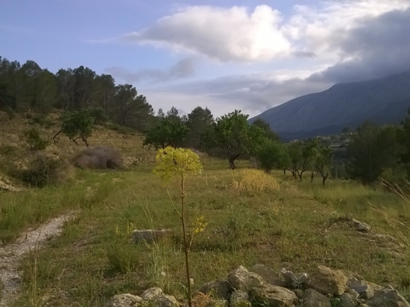 image 304423 0 - For Sale. Plot in Benissa