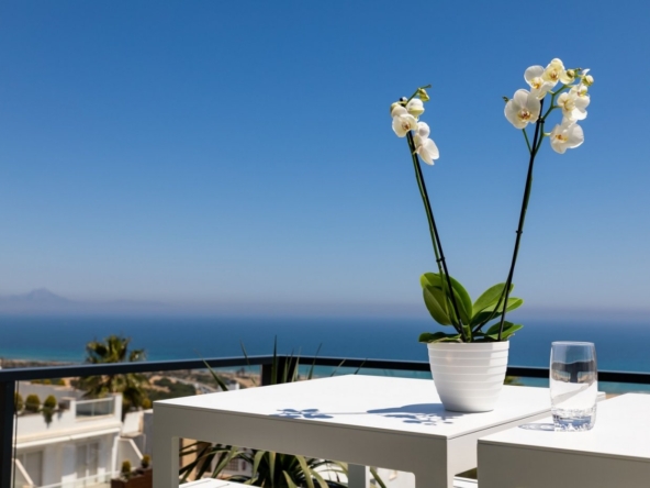 image 308167 0 - Venta. Apartamento en Santa Pola