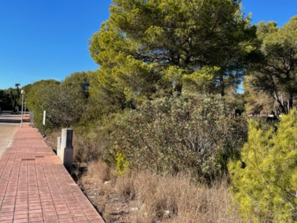 image 328246 0 - Verkoop. Perceel in Villajoyosa