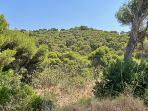 image 328489 0 - Verkoop. Perceel in Jávea