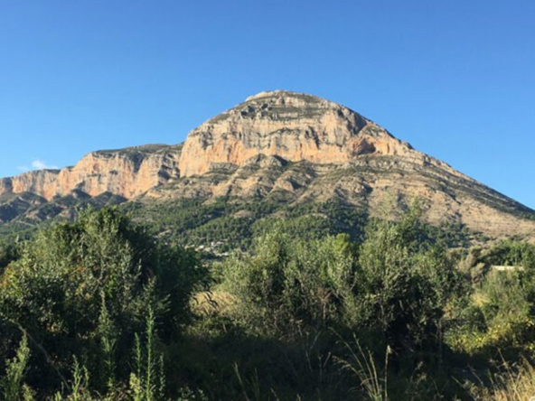 image 328669 0 - Verkoop. Perceel in Jávea